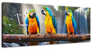 Obraz s hodinami Farebné papagáje Rozmery: 100 x 40 cm