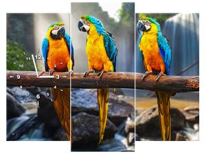 Obraz s hodinami Farebné papagáje - 3 dielny Rozmery: 90 x 30 cm