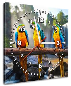 Obraz s hodinami Farebné papagáje Rozmery: 100 x 40 cm