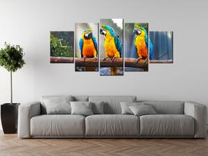 Obraz s hodinami Farebné papagáje - 5 dielny Rozmery: 150 x 70 cm