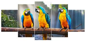 Obraz s hodinami Farebné papagáje - 5 dielny Rozmery: 150 x 70 cm