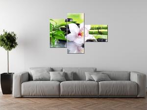 Obraz s hodinami Biela orchidea a kamene - 3 dielny Rozmery: 100 x 70 cm