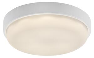 Rabalux 77224 - LED Vonkajšie stropné svietidlo HORT2 LED/14W/230V IP54 biela