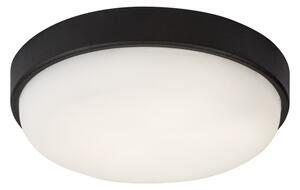 Rabalux 77223 - LED Vonkajšie stropné svietidlo HORT2 LED/14W/230V IP54 čierne