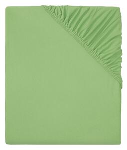 LIVARNO home Napínacia džersejová plachta, 140 – 160 x 200 cm (zelená) (100363506)