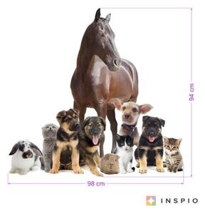 INSPIO-textilná prelepiteľná nálepka - Nálepka na stenu Milujem zvieratká