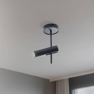 Stropné bodové svetlá Leda 1, antracitová, 1-pl., oceľ, výška 34 cm, Čierna, Obývacia izba / jedáleň, kov, Moderný, Nástenné bodové svietidlo