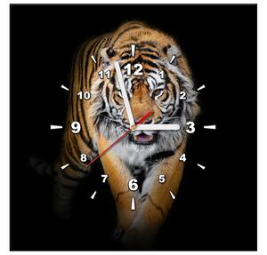 Obraz s hodinami Silný tiger Rozmery: 100 x 40 cm