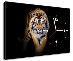 Obraz s hodinami Silný tiger Rozmery: 40 x 40 cm