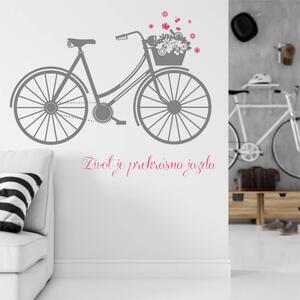 INSPIO-výroba darčekov a dekorácií - Samolepky - Bicykel