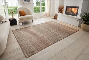 Hnedo-béžový koberec 120x80 cm Terrain - Hanse Home