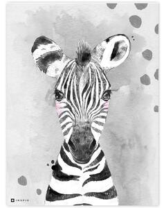 INSPIO-dibondový obraz - Obraz do detskej izby - Farebný so zebrou