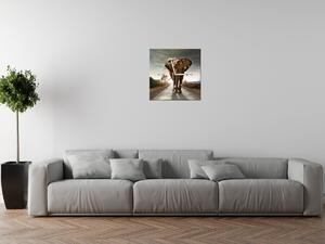 Obraz s hodinami Osamelý silný slon Rozmery: 100 x 40 cm