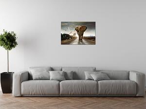 Obraz s hodinami Osamelý silný slon Rozmery: 40 x 40 cm