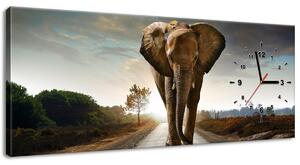Obraz s hodinami Osamelý silný slon Rozmery: 100 x 40 cm