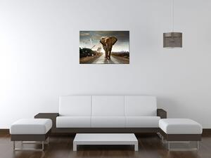 Obraz s hodinami Osamelý silný slon Rozmery: 40 x 40 cm