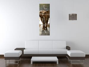 Obraz s hodinami Osamelý silný slon - 3 dielny Rozmery: 30 x 90 cm