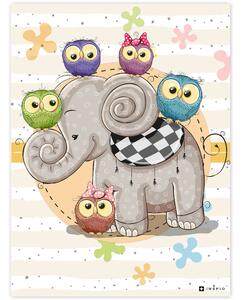 INSPIO-dibondový obraz - Obraz sloníka so sovičkami do izby pre deti