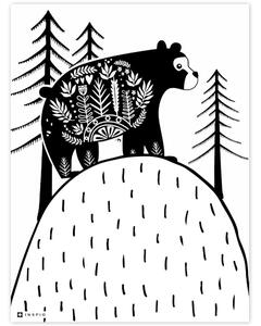 INSPIO-dibondový obraz - Obraz na stenu - Medveď v lese