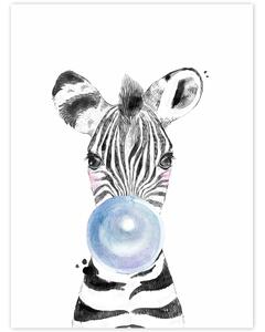 INSPIO-dibondový obraz - Obraz na stenu - Zebra s modrou bublinou