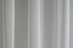 ZÁCLONA, priehľadné, 300 cm Esposa - Záclony & závesy