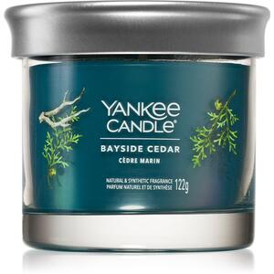 Yankee Candle Bayside Cedar vonná sviečka I. 122 g