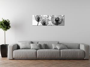 Gario 3 dielny obraz s hodinami Šedé púpavy Veľkosť: 90 x 30 cm