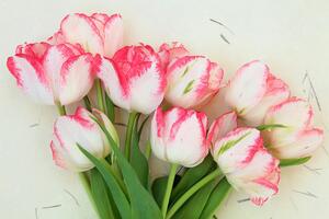 Samolepiaca fototapeta jarné tulipány
