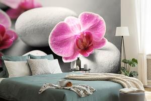 Fototapeta kvety orchidey na kameňoch