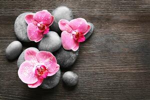 Fototapeta Zen kompozícia s orchideou