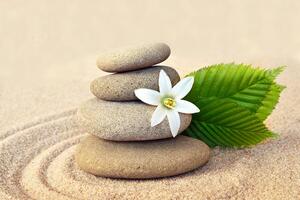 Fototapeta biely kvet a kamene v piesku