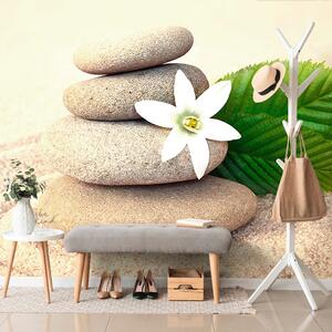 Samolepiaca fototapeta biely kvet a kamene v piesku