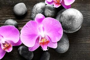 Samolepiaca fototapeta nádherná orchidea a kamene