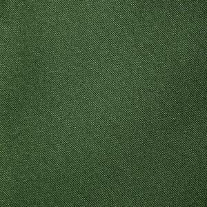 Zelený záves na krúžkoch RITA 140x250 cm