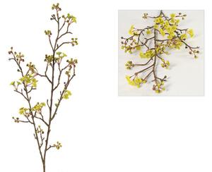 Prunus Jamasakura Vika žltý