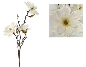 Magnolia Rani biela
