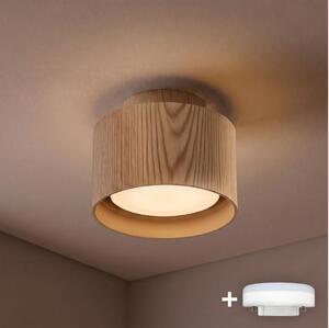 BRILAGI - LED bodové svietidlo BACKLIT 1xGX53/15W/230V+LED/3W pr. 10 cm dubový dekor