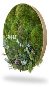 Bemoss® - E-SHOP - Machový obraz kruh Rastliny Lobon