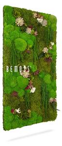 Bemoss® - E-SHOP - Machový obraz RASTLINY Muela
