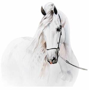 Detská nálepka na stenu Biely akvarelový kôň Rozmery: 100 x 100 cm