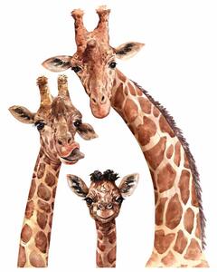 Detská nálepka na stenu Giraffes - rodina žiráf Rozmery: L