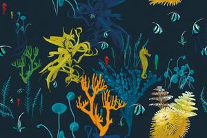 Tapeta krásy podmorského sveta