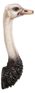 KARE DESIGN Nástenná dekorácia Ostrich 72 × 24,5 × 18,5 cm