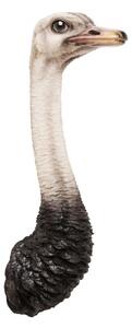 KARE DESIGN Nástenná dekorácia Ostrich 72 × 24,5 × 18,5 cm