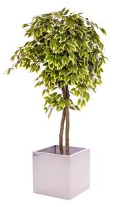 Umelý strom- Fikus panašovaný 180cm