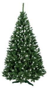 Vianočný stromček Konrad 120 cm