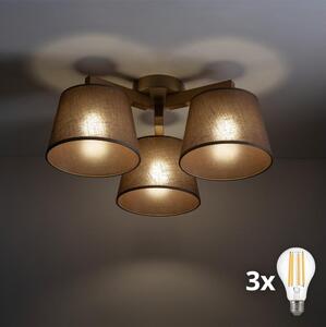 BRILAGI - LED Prisadený luster LATTE SABIA 3xE27/15W/230V borovica/hnedá