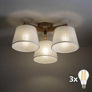 BRILAGI - LED Prisadený luster LATTE SABIA 3xE27/15W/230V borovica/biela