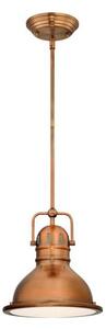 Westinghouse 6308440 - Luster na tyči BOSWELL 1xE27/60W/230V priemer 22 cm