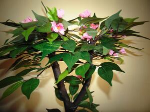 Kvitnúci bonsaj ružový